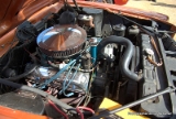 AMC AMX.DNG-6